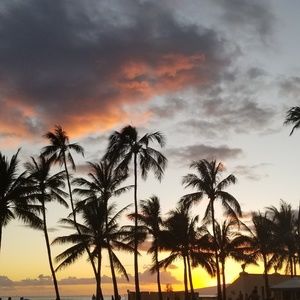 Meet your Posher, Glo